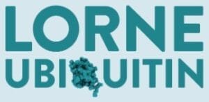 Lorne Ubiquitin