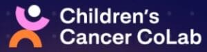 CoLab2