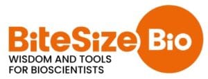Bitesize
