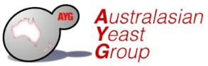 AYG