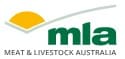 MLA